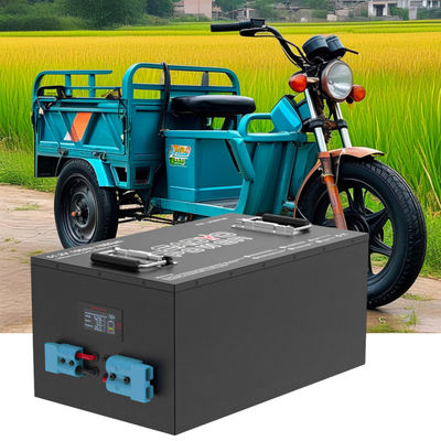 Özel 48V 150Ah LiFePO4 Lityum Bataryası Tuk Tuk Moto Taksi Üç Tekerli Yolcu Otomobil Rikshaw Elektrik Toto